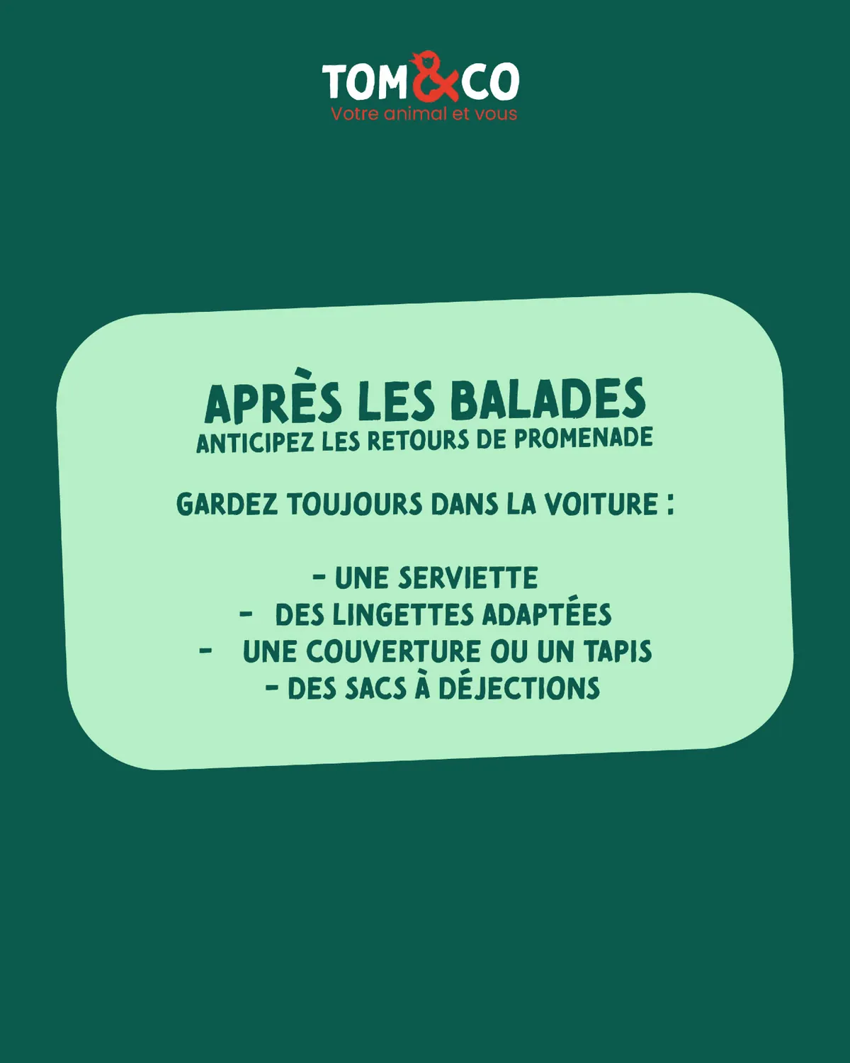 Carrousel Instagram Tom & Co Lanester, visuel 4 sur 8