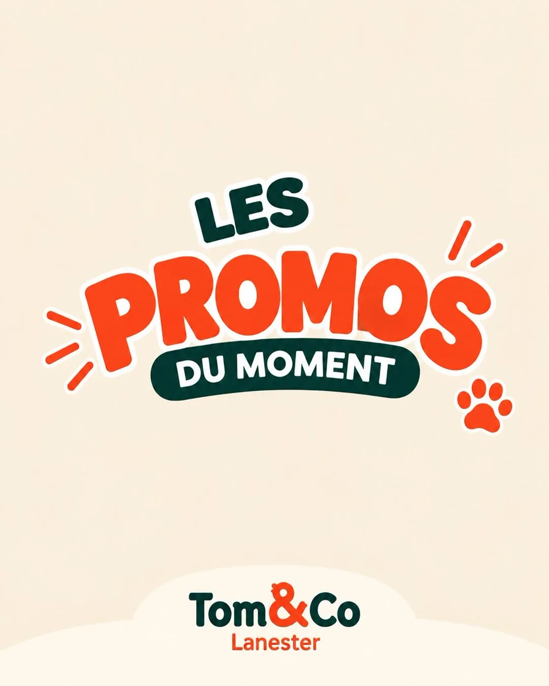 Carrousel Instagram Tom & Co Lanester, visuel 5 sur 8